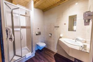 Gallery image of H&ocirc;tel Au Lion in Ribeauvill&eacute;