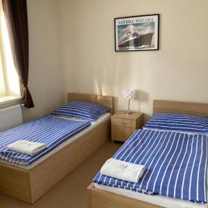 two twin beds in a bedroom with a picture on the wall at Hotel U námořníka in Pilsen