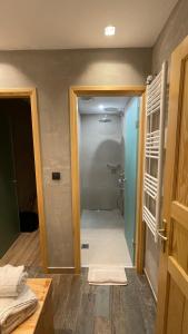 a bathroom with a walk in shower in a room at Adryades luxury apartments in Metsovo