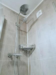 a shower with a shower head in a bathroom at Banpim hillside Lofoten with Jacusszi in Gravdal