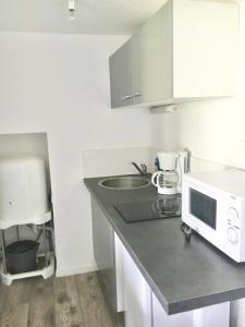 eine Küche mit einer Spüle und einer Mikrowelle auf der Theke in der Unterkunft Studios meublés Brest Keruscun in Brest