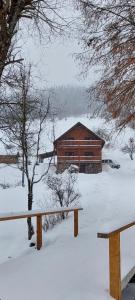 una baita di tronchi nella neve con panchina di Villa Grace a Oryavchyk