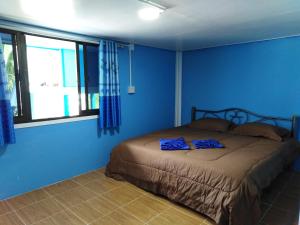 Un dormitorio con una cama con paredes azules y una ventana en Krasom Homestay, en Phang-nga