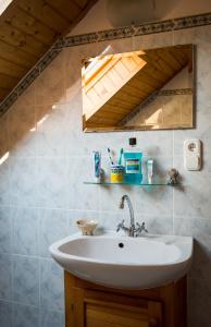 bagno con lavandino e specchio di Farmhouse in Köveskál (Balatonfelvidék) for 6 persons a Köveskál