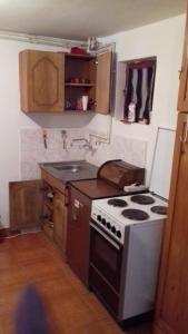 een kleine keuken met een fornuis en een spoelbak bij Vikend Kuca Milica in Kopaonik