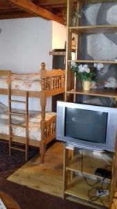 een televisie in een kamer met 2 stapelbedden bij Vikend Kuca Milica in Kopaonik