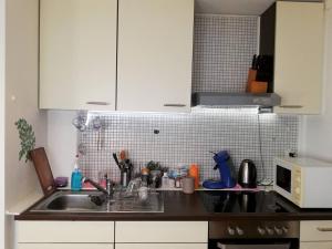 La cuisine est équipée d'un évier et d'un four micro-ondes. dans l'établissement Vacation Apartment Near The Black Forest, à Villingen-Schwenningen