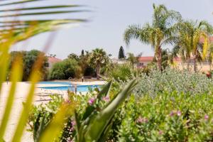 a view of a swimming pool with palm trees and plants at NISSI 3 VIEW HOLIDAY 2 BEDROOM APARTMENT in Ayia Napa