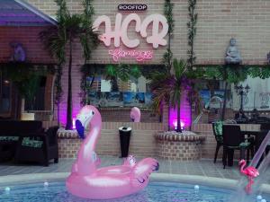 Πισίνα στο ή κοντά στο Hotel Calima Real