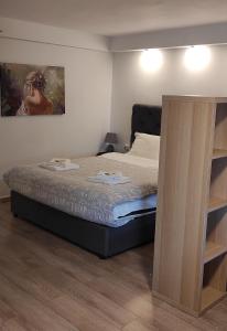 um quarto com uma cama e um quadro na parede em Zeus Studio on Palamidi foothills em Nafplio
