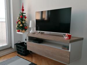 a living room with a television and a christmas tree at Apartment Igor in Lukavica