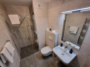 a bathroom with a toilet and a sink and a shower at Olimpijska kuca 202 in Jahorina