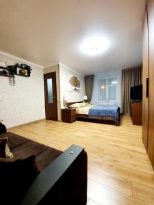 モスクワにあるАпартаменты на Цандераのベッドとテレビが備わるホテルルームです。