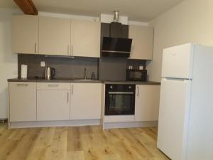 Kuchyň nebo kuchyňský kout v ubytování Apartmány Rudník Bolkov