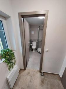 Koupelna v ubytování Apartmány Rudník Bolkov