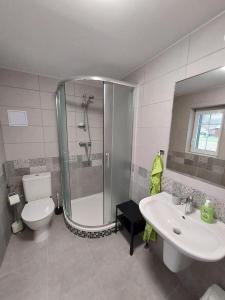 uma casa de banho com um chuveiro, um WC e um lavatório. em Apartmány Rudník Bolkov em Rudník