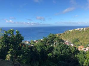 a view of the ocean from a hill with trees at 3soleils in Schœlcher