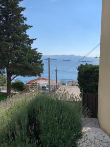 a view of the beach from a house at Apartment Ivanka in Senj