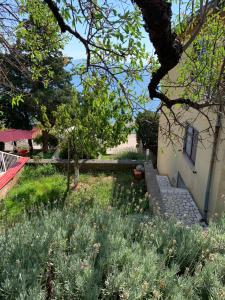 a yard with a building and a tree at Apartment Ivanka in Senj