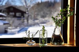 three vases sitting on a window sill with plants at björk （森の宿 ビヨルク） in Myoko