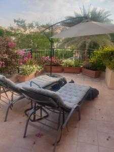 two beds on a patio with plants and an umbrella at Cherrywood House in Dubai