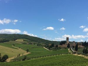 a view of a green hill with a castle on it at Il Fiorino di Badia in Badia A Passignano