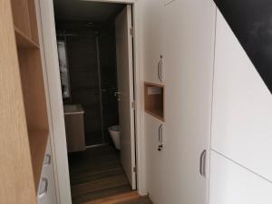 Kopalnica v nastanitvi Apartman Divcigora Sokic 2
