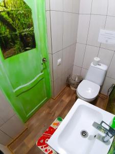 a bathroom with a sink and a green door at House on the Tree in Petrovo