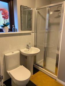 ein Bad mit einem WC, einem Waschbecken und einer Dusche in der Unterkunft Immaculate 3 bed lodge in Blairgowrie in Blairgowrie