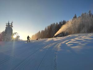 uma pessoa está a esquiar numa encosta coberta de neve em Lipno Riviéra - Myši v botě em Lipno nad Vltavou