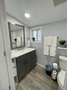 ein Badezimmer mit einem Waschbecken, einem Spiegel und einem WC in der Unterkunft Veda Inn & Cottages in Maggie Valley