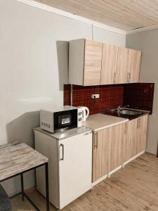 eine kleine Küche mit einer Spüle und einer Mikrowelle in der Unterkunft Guest House Lviv in Lwiw