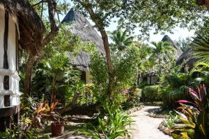 Zahrada ubytování Blue Holbox