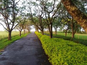 Afbeelding uit fotogalerij van Estância Timbaúva in Uruguaiana