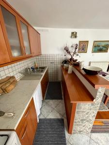 Cuisine ou kitchenette dans l'établissement Apartma Pri Soči