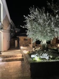 a tree in front of a house at night at Apartment BENI in Novi Vinodolski