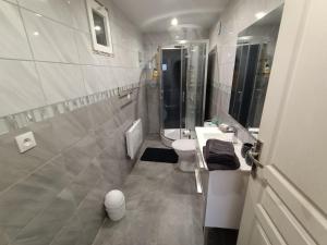 e bagno con servizi igienici, lavandino e doccia. di Chambre lit double a Chambray-lès-Tours