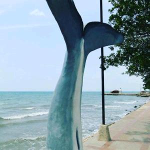 a statue of a bird sitting on a sidewalk near the ocean at AquaMarina Hostal in Tolú +17 photos