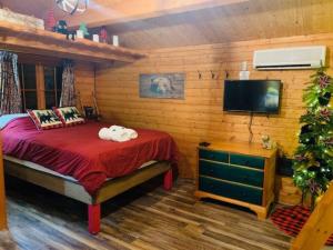 a bedroom with a bed and a flat screen tv at Honeybear Hideaway Cabin in Hayward