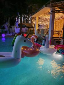 Seremban Resort Villa 163 by Vale Pine في سِريمبان: مجموعة من قوارب البجع القابلة للنفخ في مسبح في الليل