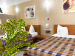 Auto Hotel Mediterráneo客房内的一张或多张床位