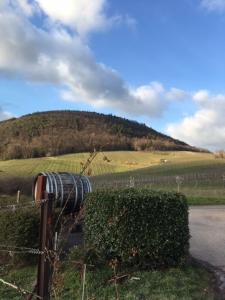 a fence with a barrel in a field with a hill at Appartement 44 in Burrweiler