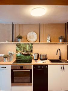 a kitchen with a sink and a black dishwasher at Appartement 44 in Burrweiler