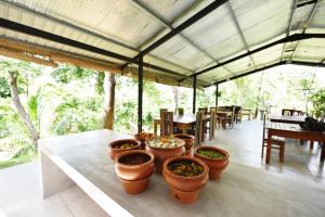 Restaurace v ubytování Ele Camp Udawalawe