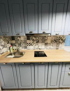 una cucina con mobili grigi e un lavandino di Studio F13 a Topliţa Altre 8 foto