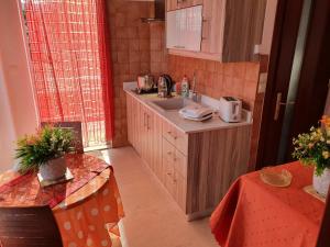 uma cozinha com um lavatório e um balcão com uma mesa em Pettas Apartments em Zakynthos