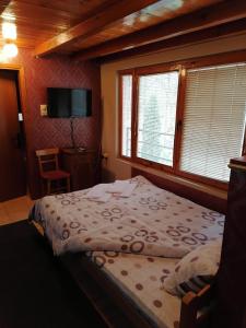 1 dormitorio con 1 cama, TV y ventanas en S' Centro - park apartments, en Kraljevo