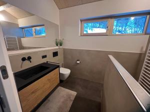 ein Bad mit einem Waschbecken und einem WC in der Unterkunft River Lodge in Dornbirn