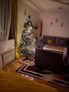 Apartman Teddy12-Vlašić في فلاسيتش: شجرة عيد الميلاد في غرفة المعيشة مع الكمبيوتر المحمول