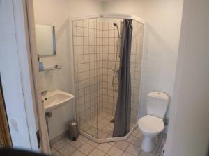 a bathroom with a shower and a toilet and a sink at Børglum Mejeri Hotel in Børglum